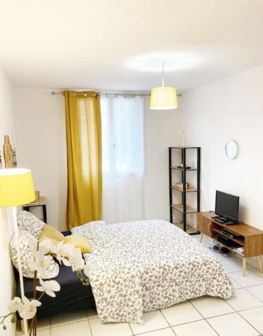 Studio A 5 Mn A Pied De La Gare Saint-Roch مونبيلييه المظهر الخارجي الصورة